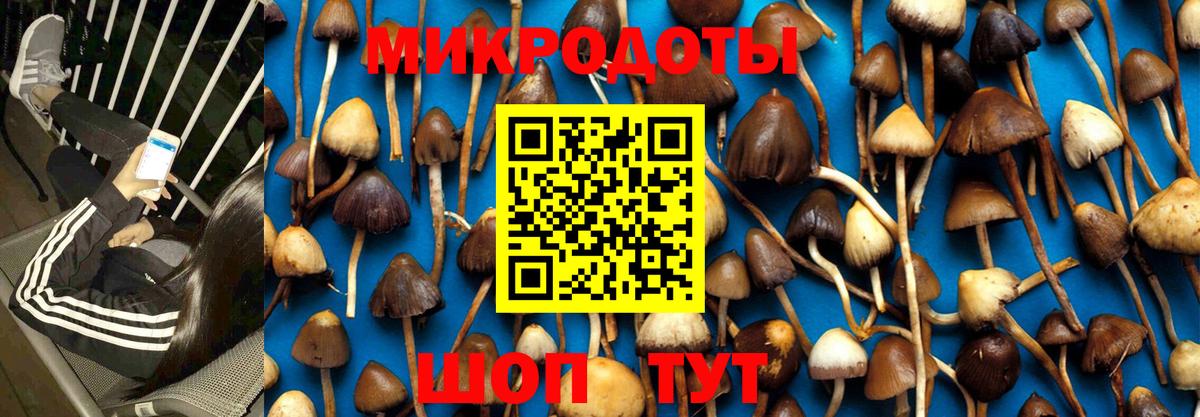 Галлюциногенные грибы GOLDEN TEACHER  где найти наркотики  Балахна  Галлюциногенные грибы Cubensis  Вход с VPN 
