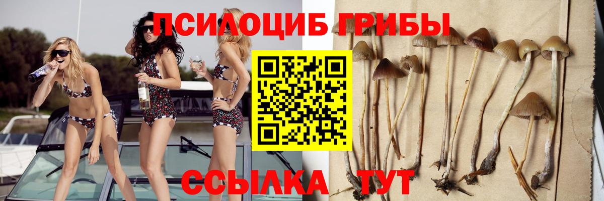 Галлюциногенные грибы мицелий Балахна