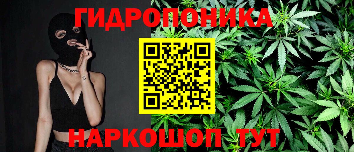 Бошки марихуана OG Kush Балахна